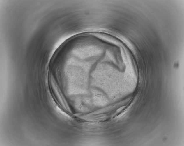 X0000093591102200711051133