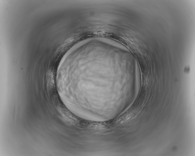 X0000093591106200711051132