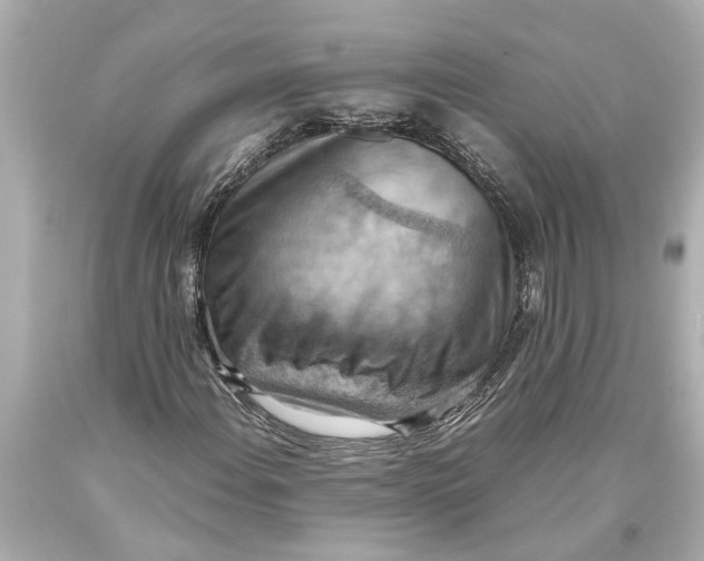 X0000093591108200711051132