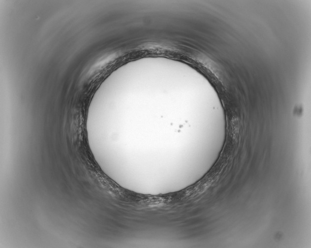 X0000093591111200711051132