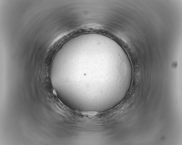 X0000093591112200711051132