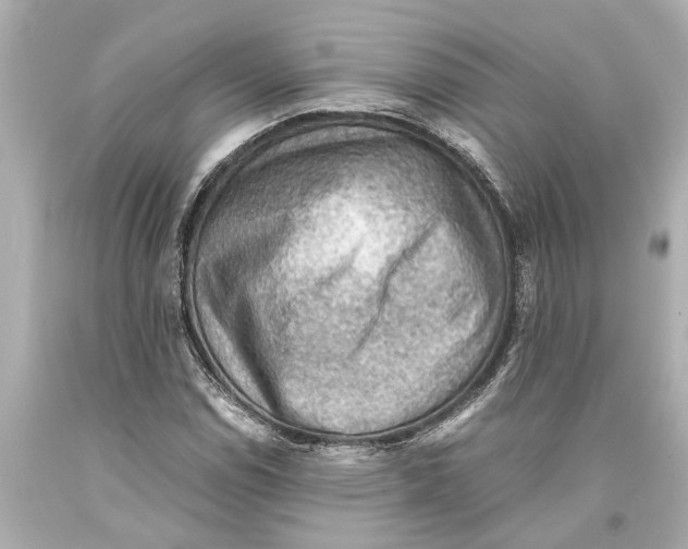 X0000093591114200711051132