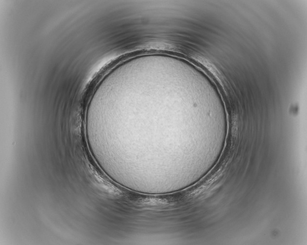 X0000093591115200711051132