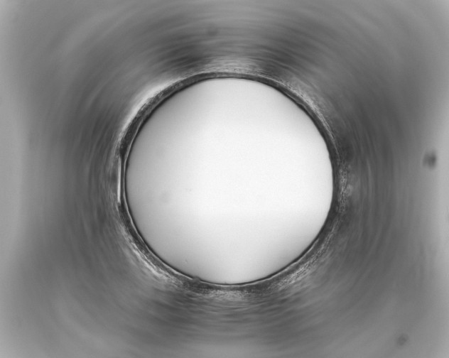 X0000093591123200711051132