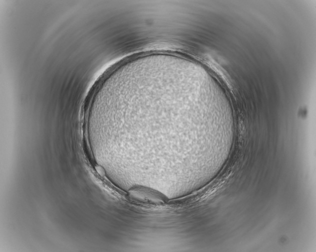 X0000093591124200711051132
