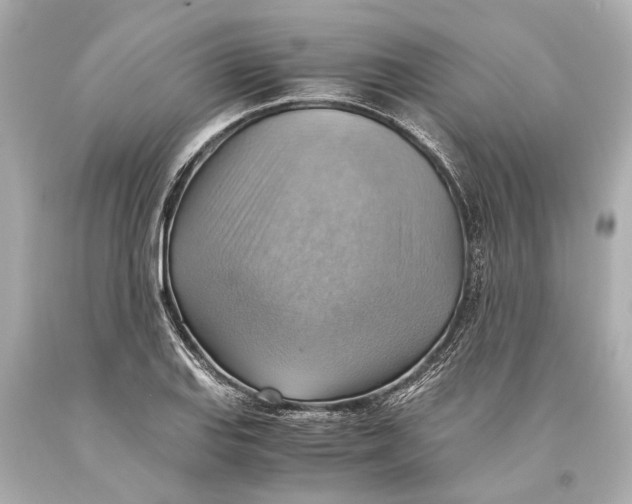 X0000093591127200711051133