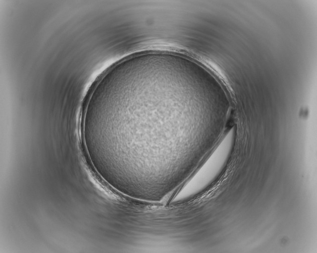 X0000093591128200711051133