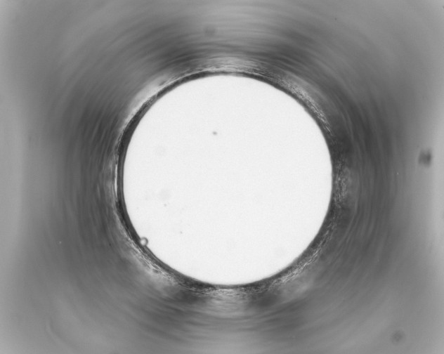 X0000093591130200711051133