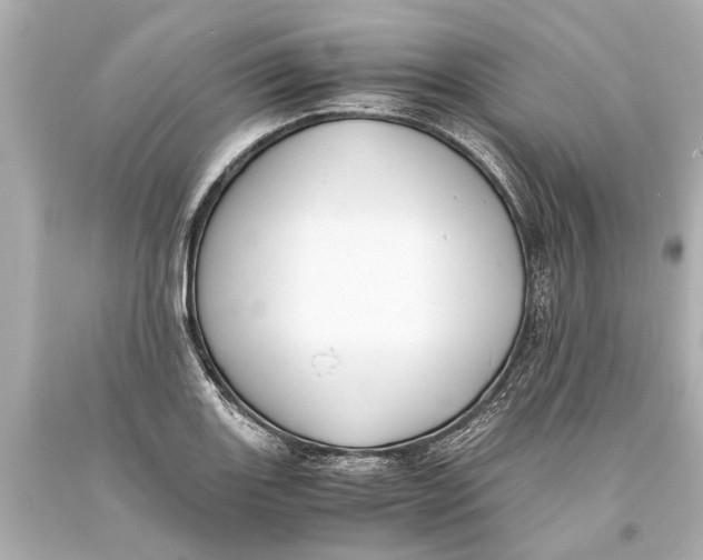 X0000093591131200711051133
