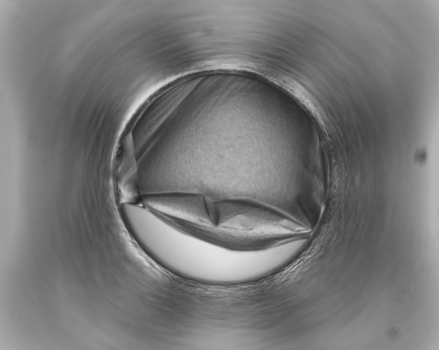 X0000093591132200711051133