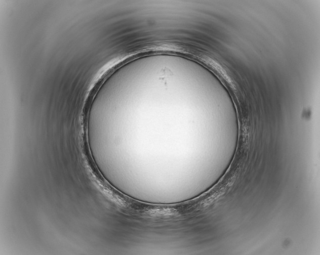 X0000093591133200711051133
