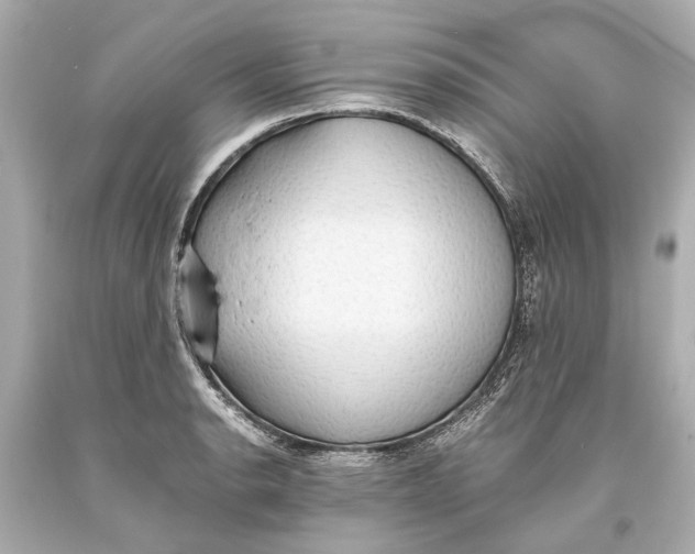 X0000093591134200711051133