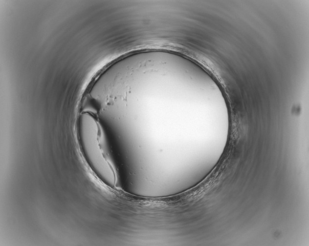 X0000093591136200711051133