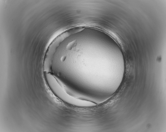X0000093591138200711051133