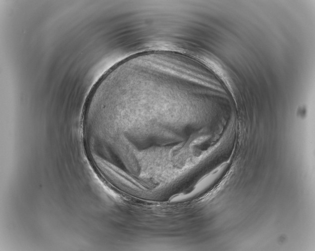 X0000093591141200711051133