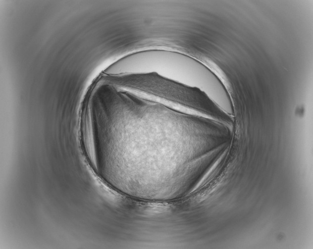 X0000093591144200711051133