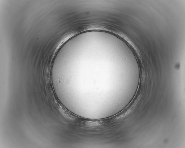 X0000093591145200711051133