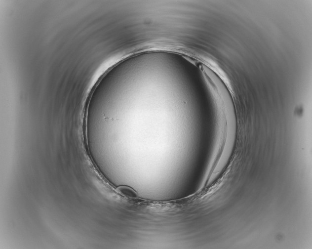 X0000093591146200711051133
