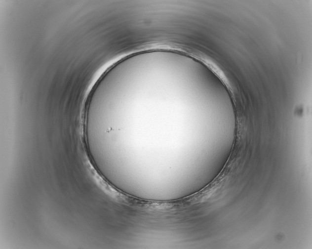 X0000093591148200711051133
