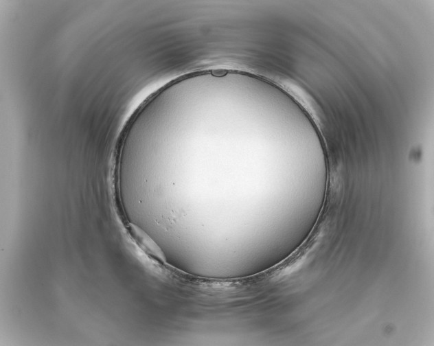 X0000093591149200711051133