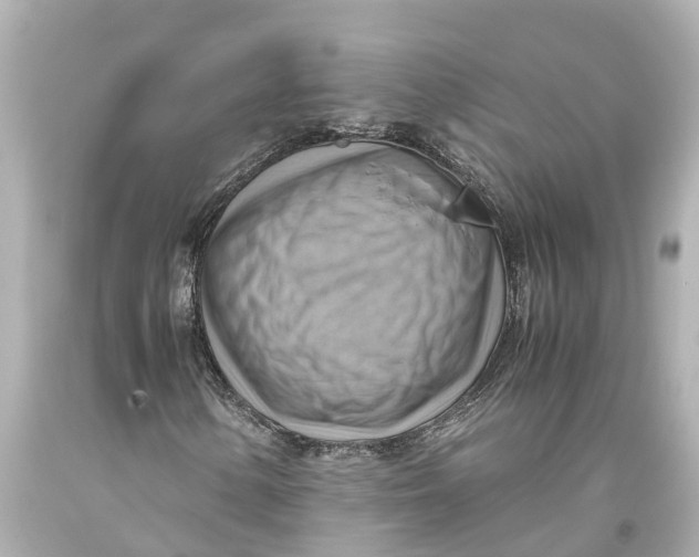 X0000093591154200711051132