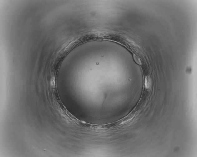 X0000093591155200711051132