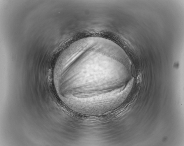 X0000093591156200711051132