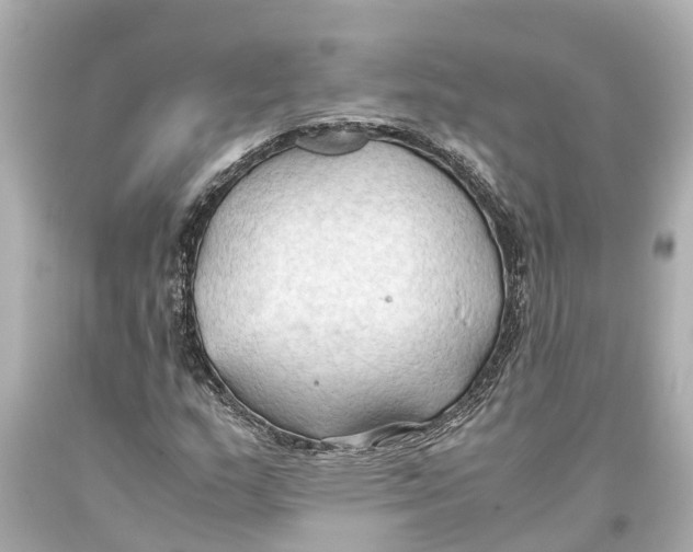 X0000093591159200711051132