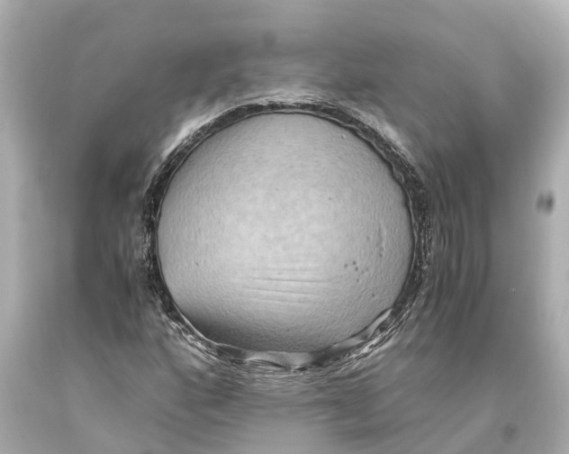 X0000093591160200711051132