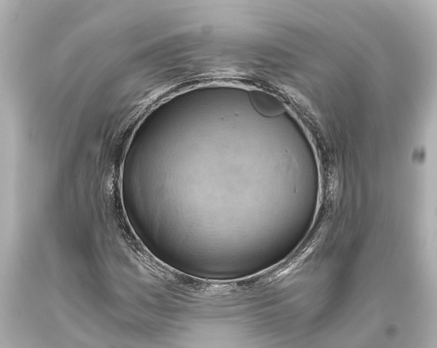 X0000093591161200711051132