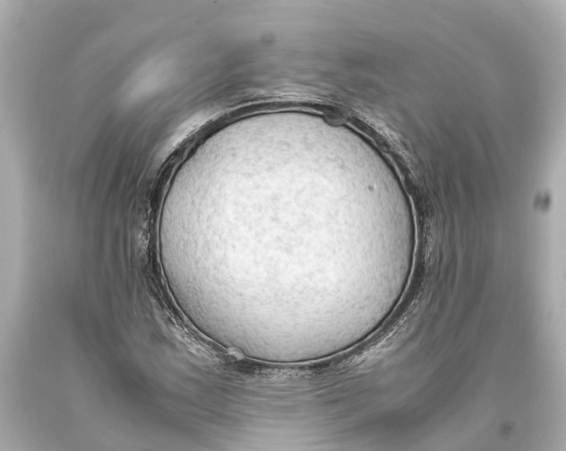 X0000093591163200711051132