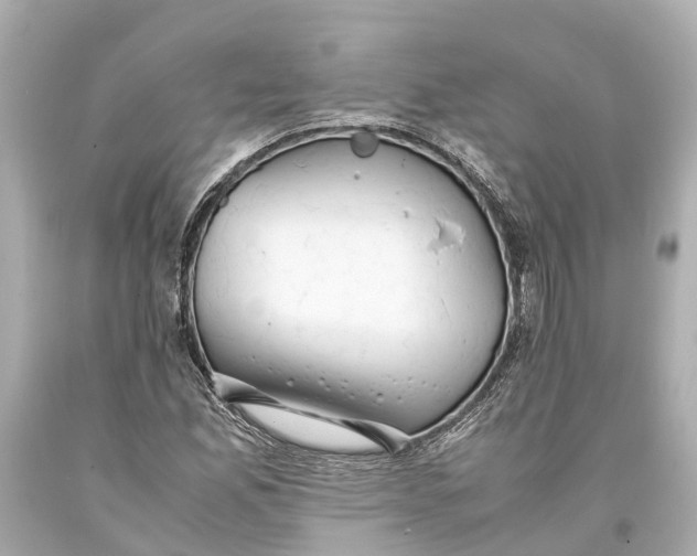 X0000093591165200711051132
