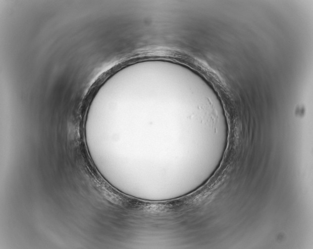 X0000093591166200711051132