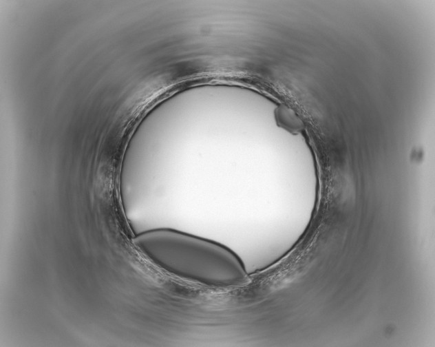 X0000093591169200711051132