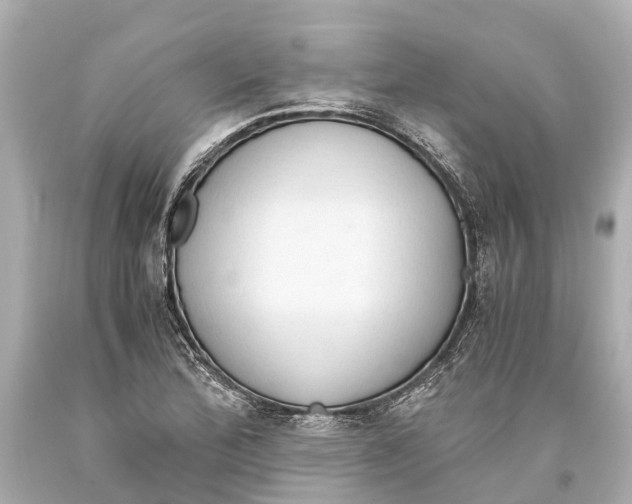 X0000093591172200711051132