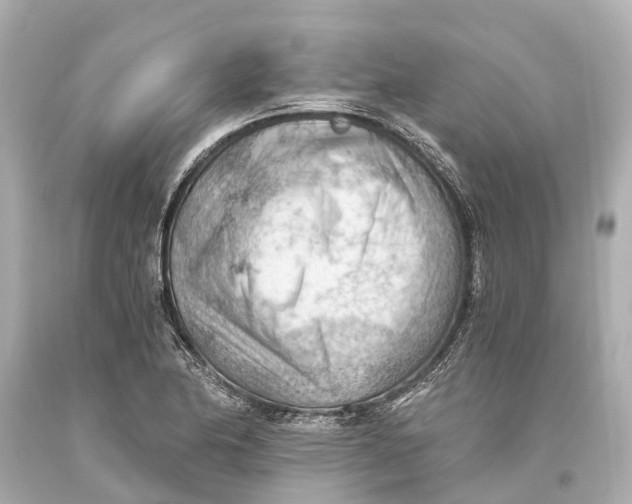 X0000093591174200711051132