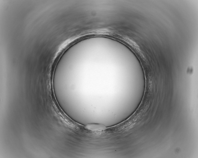 X0000093591176200711051132