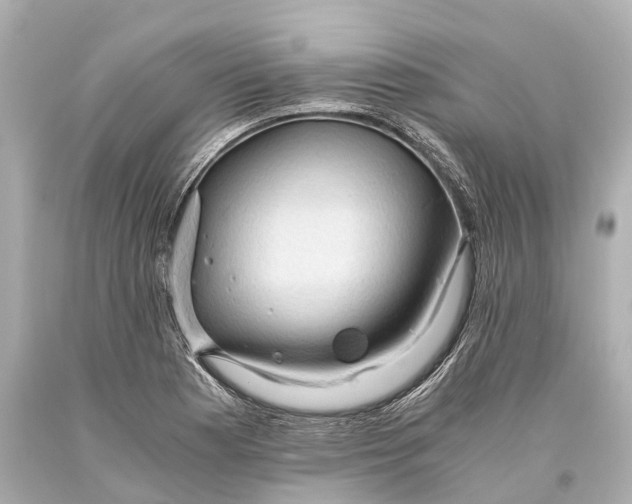 X0000093591177200711051132