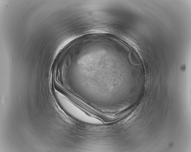 X0000093591179200711051132