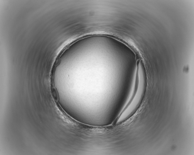 X0000093591181200711051132