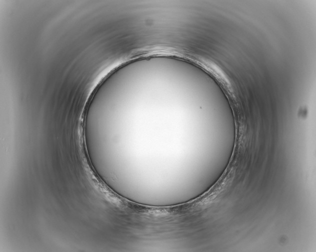 X0000093591190200711051132