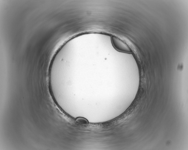X0000093591191200711051132