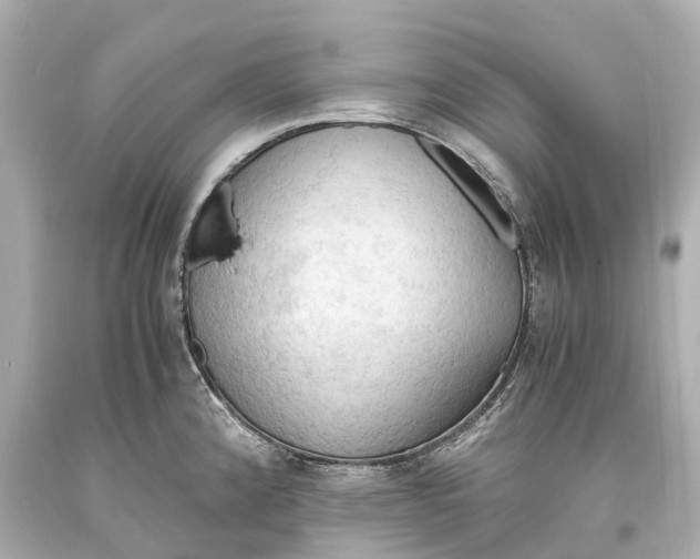 X0000093591192200711051132