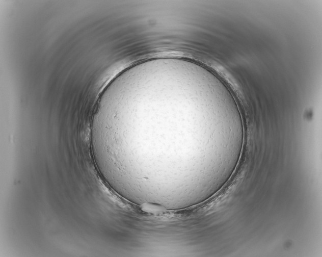X0000093591193200711051132