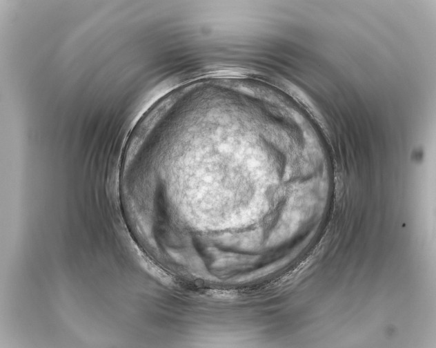 X0000093591194200711051132