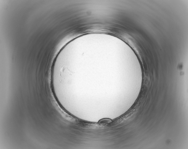 X0000093591195200711051132