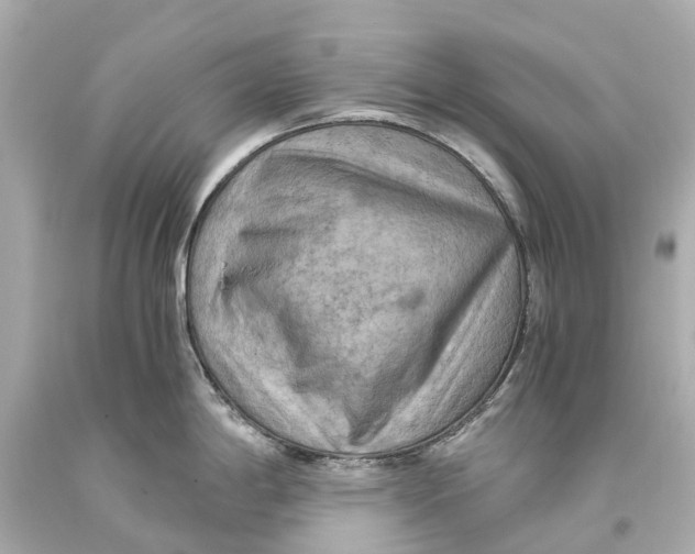 X0000093591198200711051132