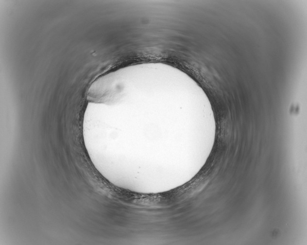 X0000093591201200711051131