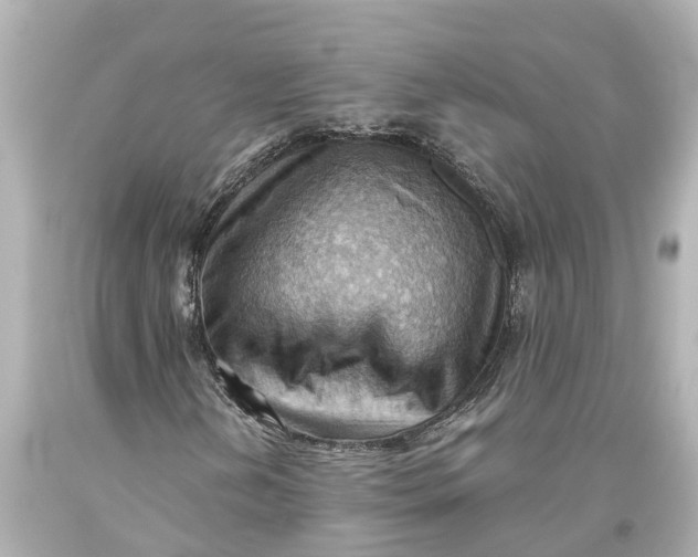 X0000093591202200711051131