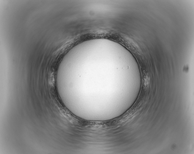 X0000093591204200711051131